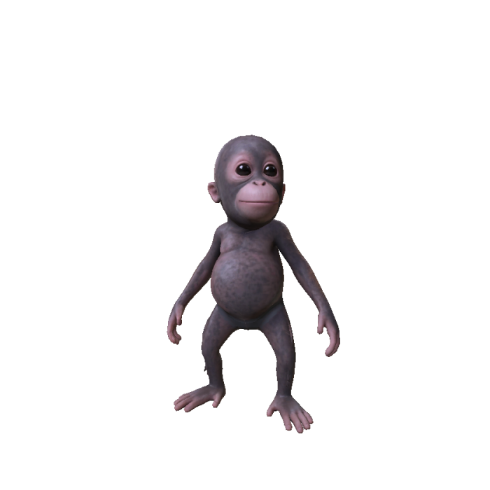 Baby Monkey