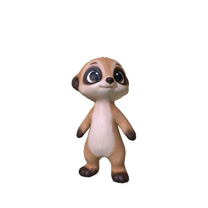 Baby Meerkat