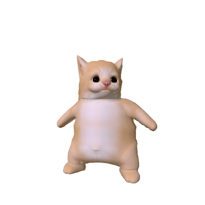 Cute Chubby Cat