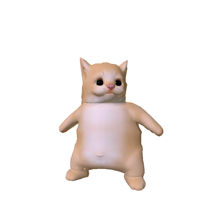 Cute Chubby Cat