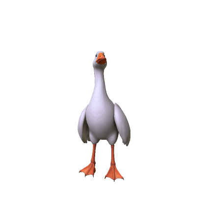 Duck Goose