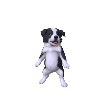 Shepherd Puppy dog