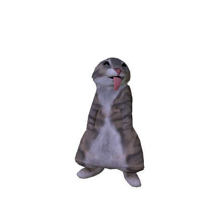 rigby cat SILLY
