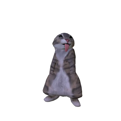 Catálogo