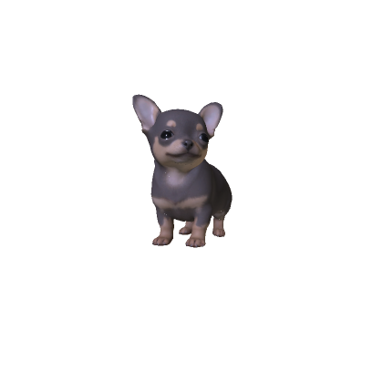 Mini Chihuahua Puppy