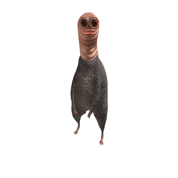 benoftheweek - Roblox