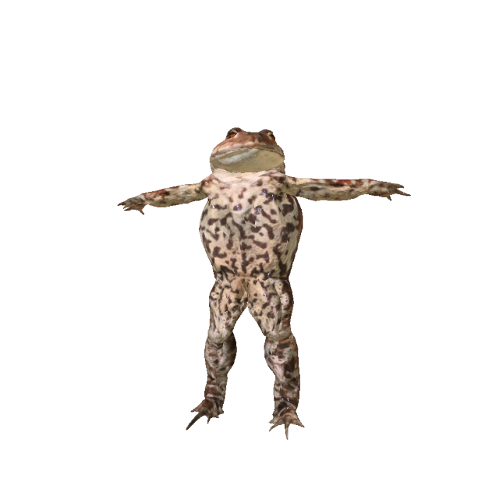 Real Toad