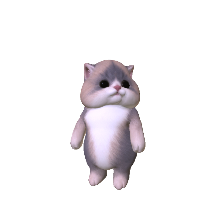 Chubby Cheeked Kitten