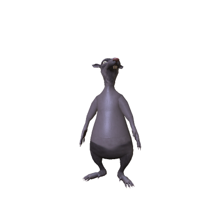 Rat