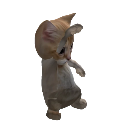 choKocat7953's avatar