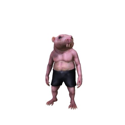 Rata topo