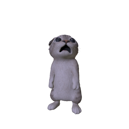 Sad Cat