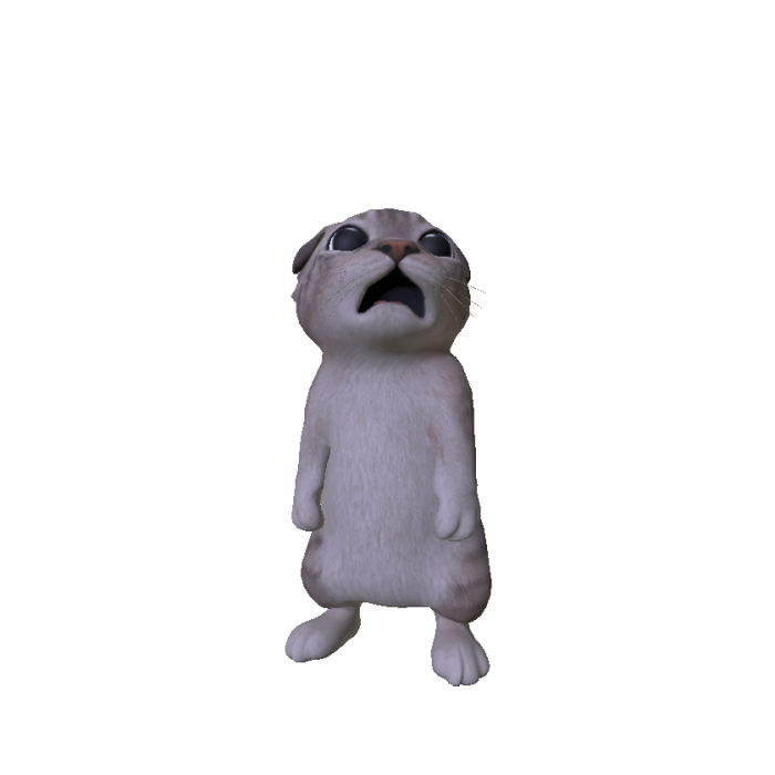 Sad Cat