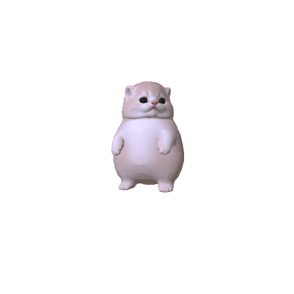 Little Chubby Kitten