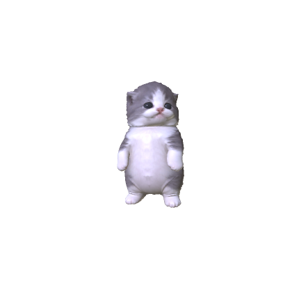 Little Kitten Roblox bundle