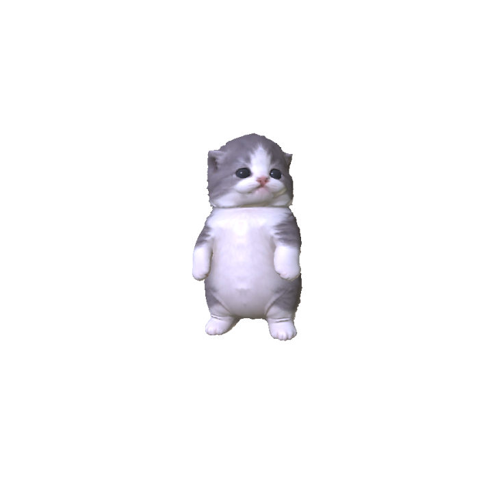Little Kitten