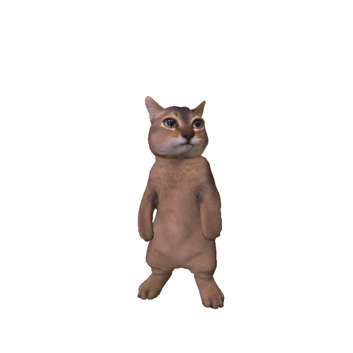 Meimei Tole Tole Cat
