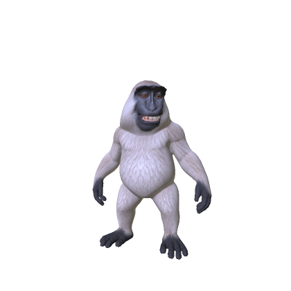 Little Smiling Monkey 🐵