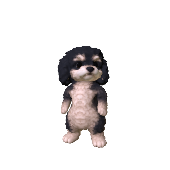 Little Poodle Puppy