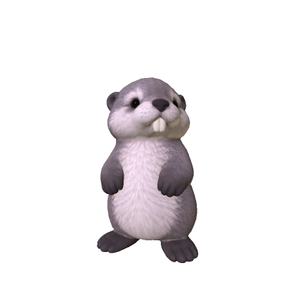 Beaver