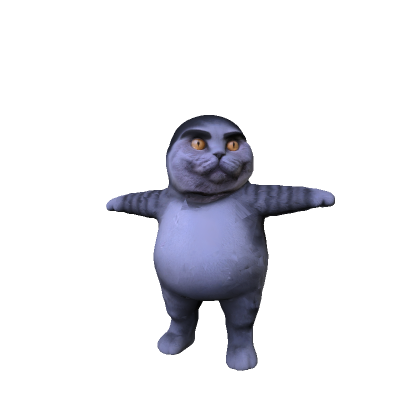 Folk cat