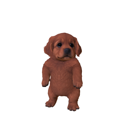 Little Shepherd Puppy