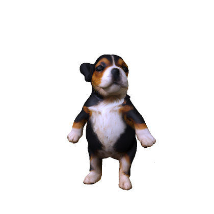 Mini Chubby Pibble Dog