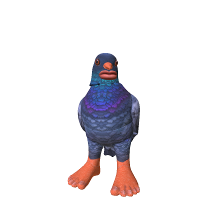 Cantina Pigeon