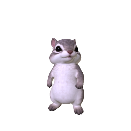Cute Mini Chimpunk