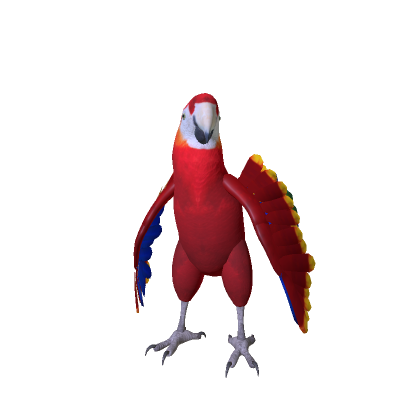 Scarlet Macaw Parrot thumbnail