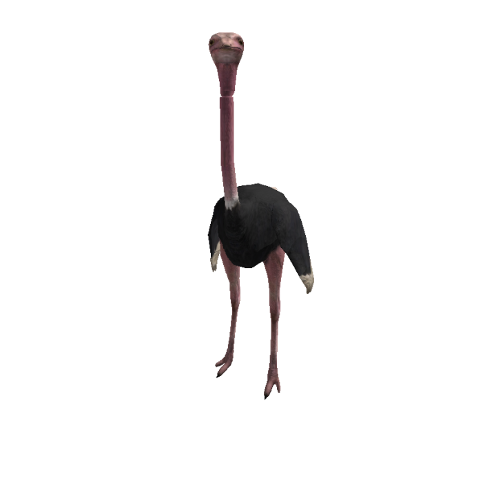 Roblox banner for @Ostrich