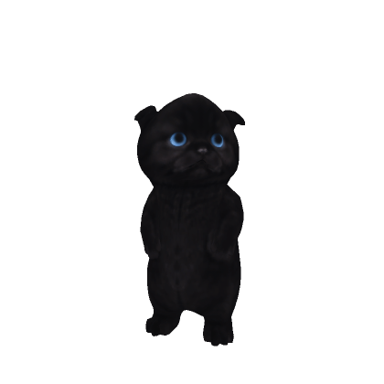 Black Little Kitten thumbnail