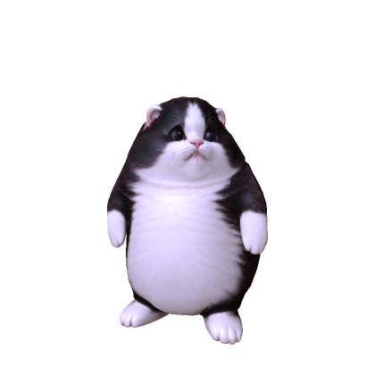 Big Fat Cat
