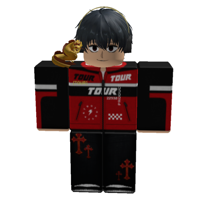 Roblox banner for @nachocra