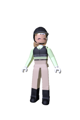 Saddle Rider - Roblox