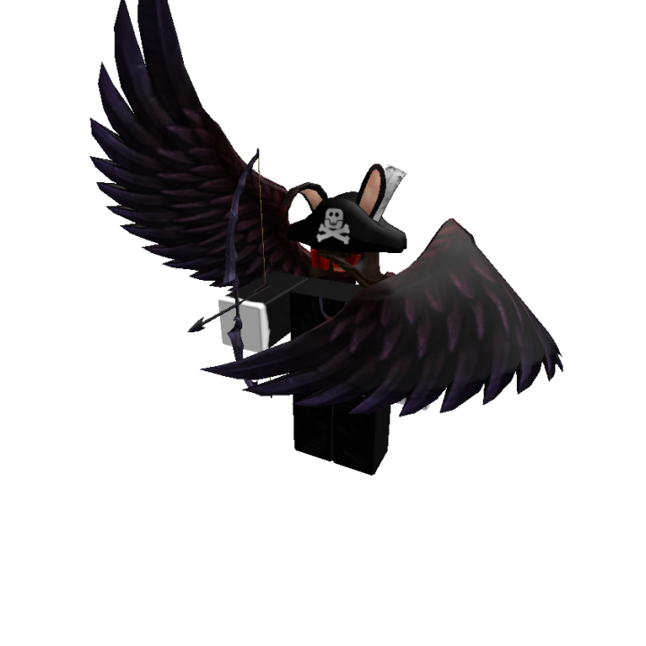 Roblox banner for @pkwy