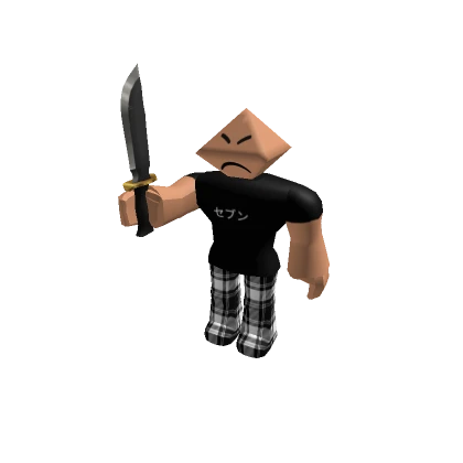 voidxproton | Roblox Player Profile - Rolimon's