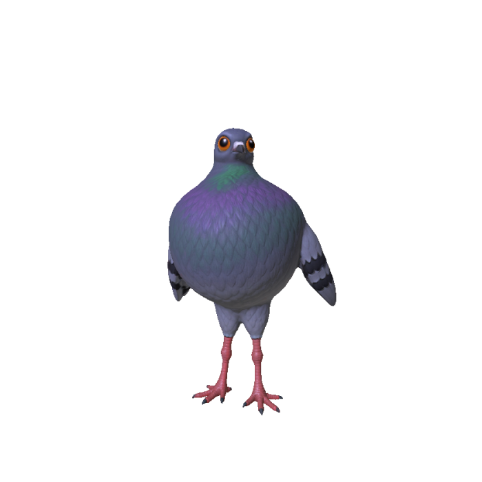Fat Pigeon