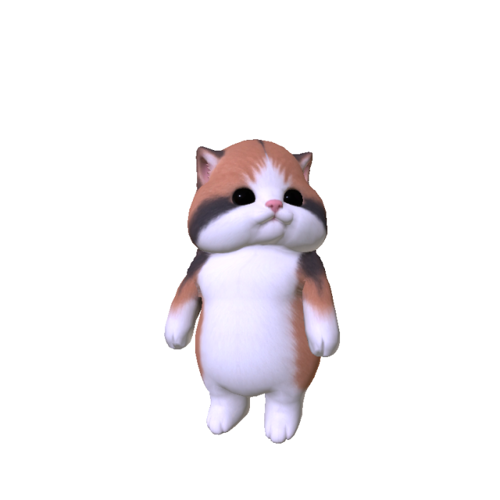 Chubby Cheeked Kitten