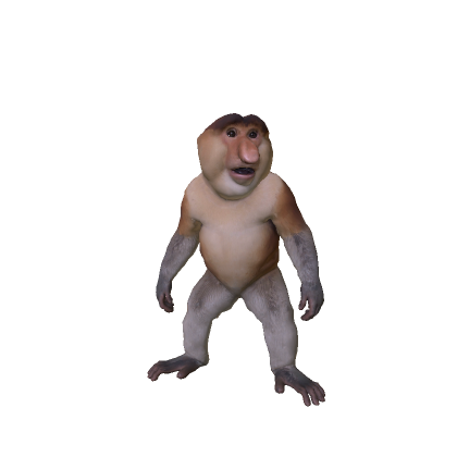 Big Nose Monkey