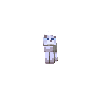 แมว Ragdoll