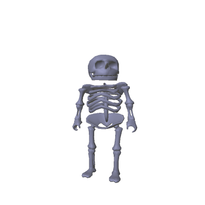 Recolorable Skeleton