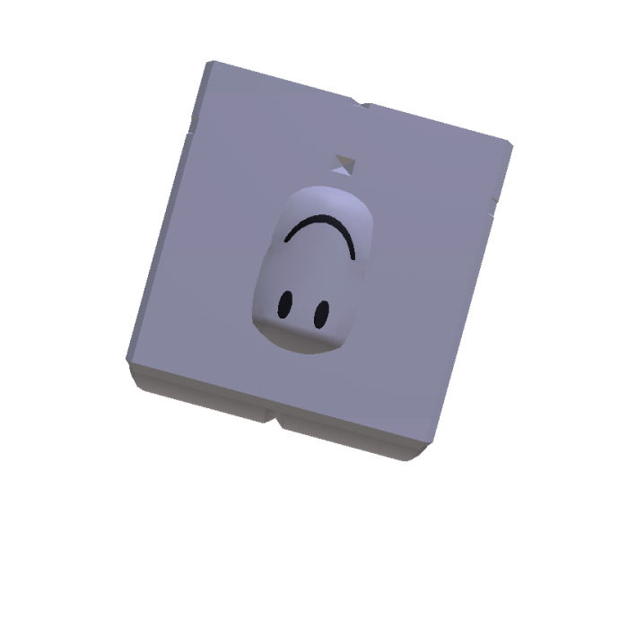Hide