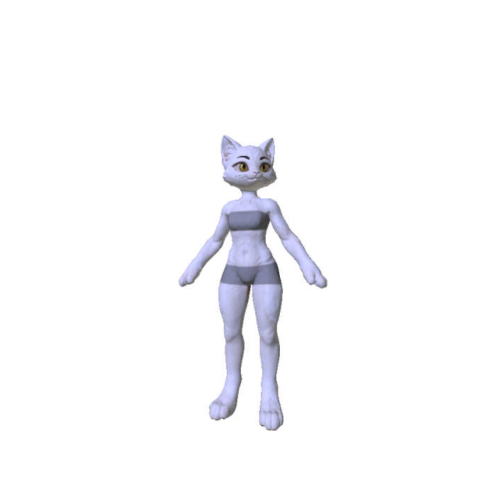 Furry Kitten