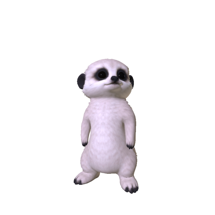 Meerkat