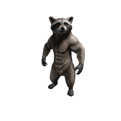 Buff Raccoon - Roblox
