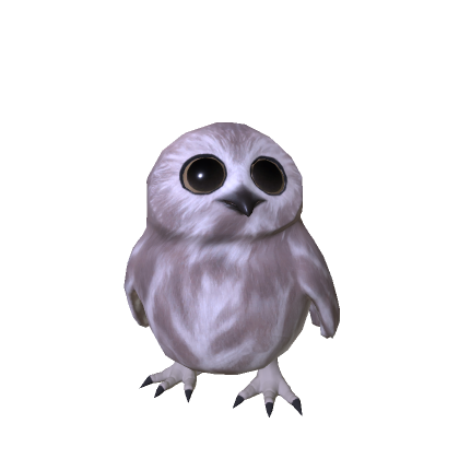 little owl