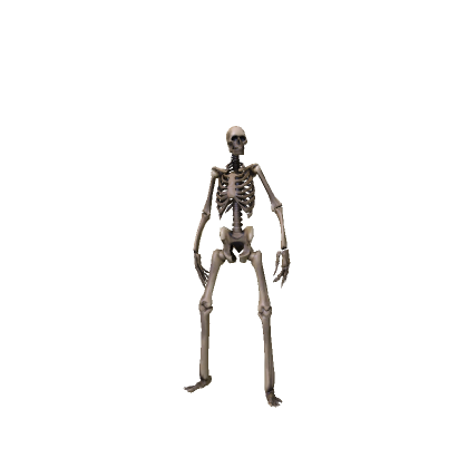 Shield Skeleton