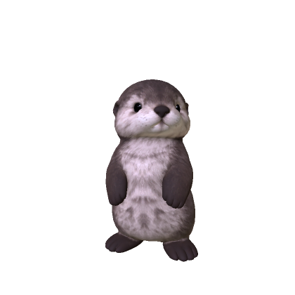 Cute Sea Otter