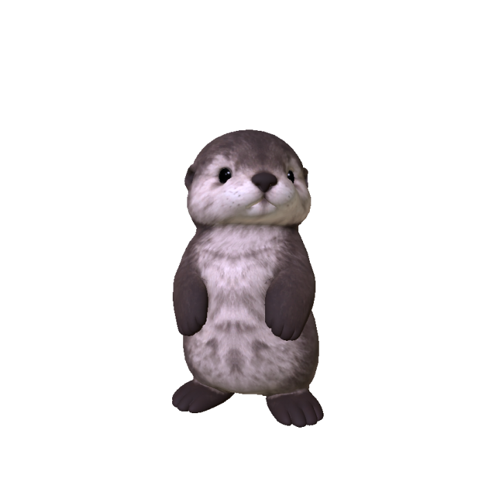 Cute Sea Otter